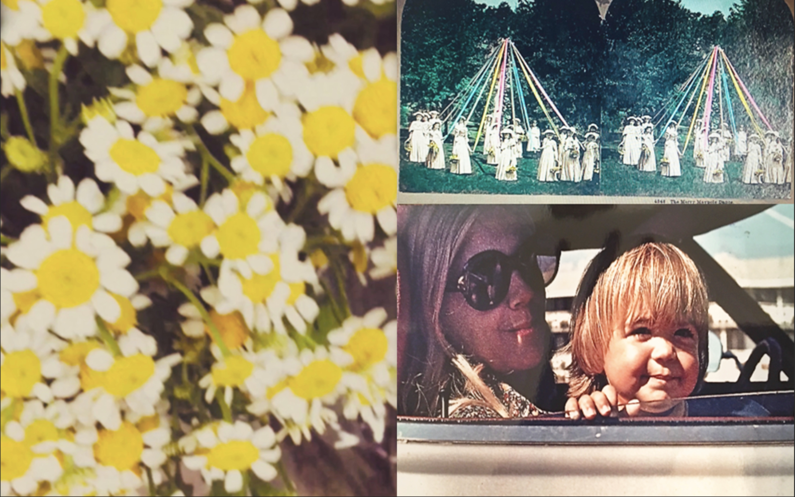 Night Garden #88-89